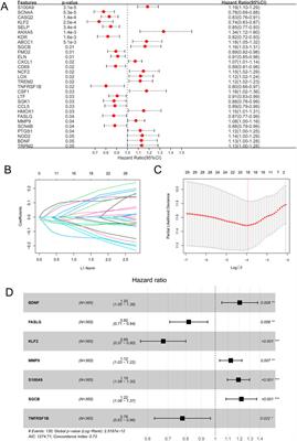 An oxidative stress-related signature for predicting the prognosis of liver cancer